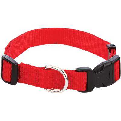 Westminster Pet Ruffin' it Adjustable 14 In. to 20 In. Nylon Dog Collar